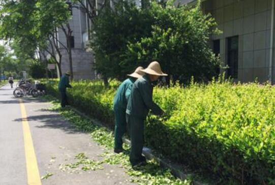 物业保洁管理及物业保洁工作流程