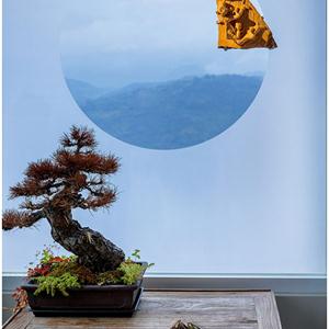 玄关处中国园林的圆窗